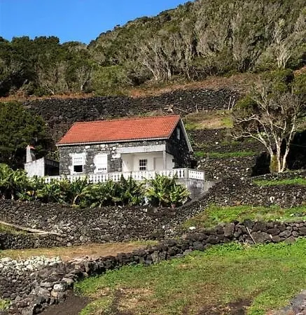 Adega Do Golfinho Apartman