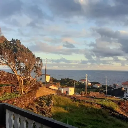 Adega Do Golfinho Feiteira