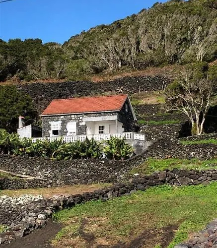 Adega Do Golfinho Appartement